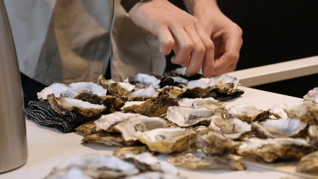 Oesters worden klaargelegd